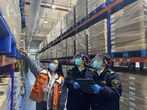 打造綜合服務鏈，廣州海關助力大灣區生物醫藥產業聚集與醫療器械經營創新